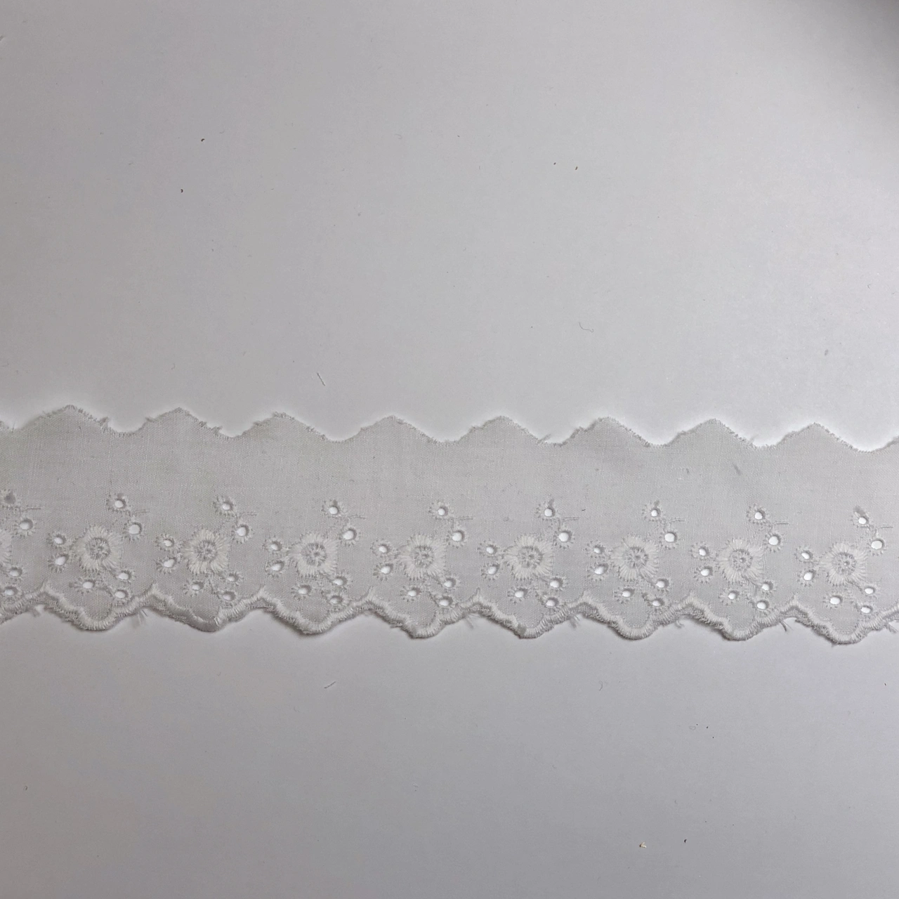 Bomullsbrodyr  Vit meter