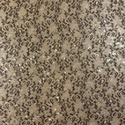 Nogatfärgad spets med paljetter