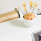 Janome Decor Computer 6050