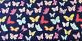 Butterfly Flys