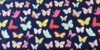 Butterfly Flys