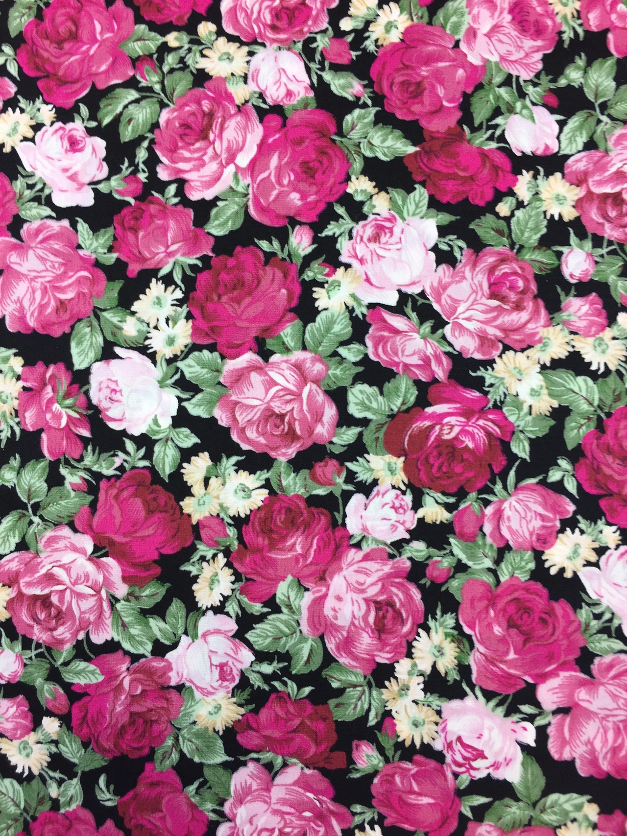 Scarlett / DARK Q4-1