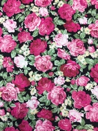 Scarlett / DARK Q4-1