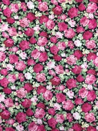 Scarlett / DARK Q4-1