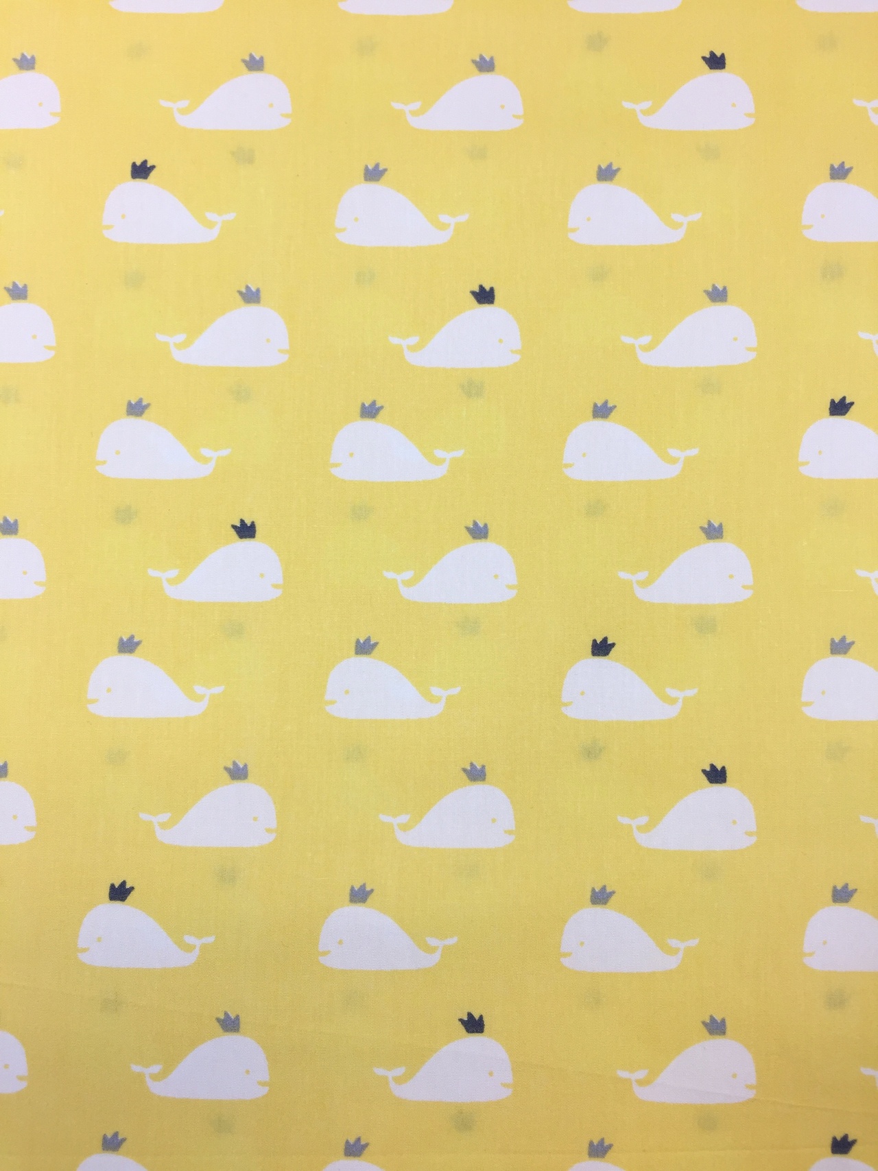 Baby Whale / YELLOW