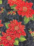 Poinsettia / DARK