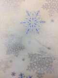 Snowflakes / SILVER