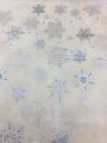 Snowflakes / SILVER