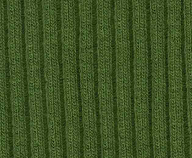 Grov ribbad mudväv Grön