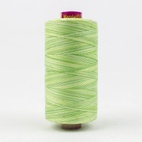 Wonderfil Frutti / LIME