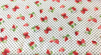 Strawberrys White& Black