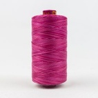 Wonderfil fruitti / ROSES
