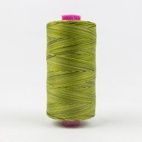 WonderFil Tutti / Moss
