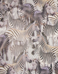 Skinnimitation Zebra