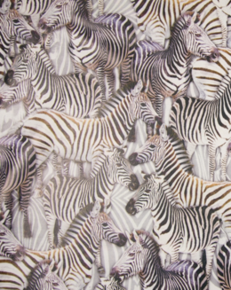 Skinnimitation Zebra