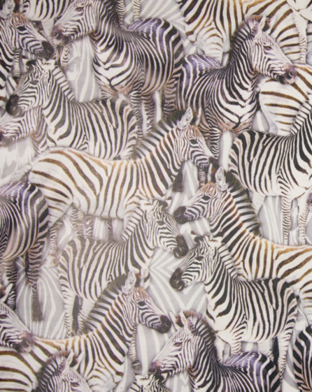 Skinnimitation Zebra