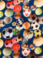 Fotbollar
