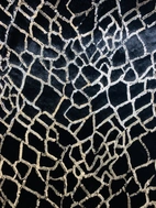 Päls med guld paljetter