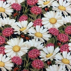 Prästkragar & Klöver Zelected by Zannaz - Trikåtyg