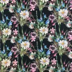 Lucinda - Zelected By ZannaZ