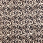 Kugghjul - Zelected By ZannaZ