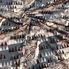 Fjälluggla - Zelected By ZannaZ