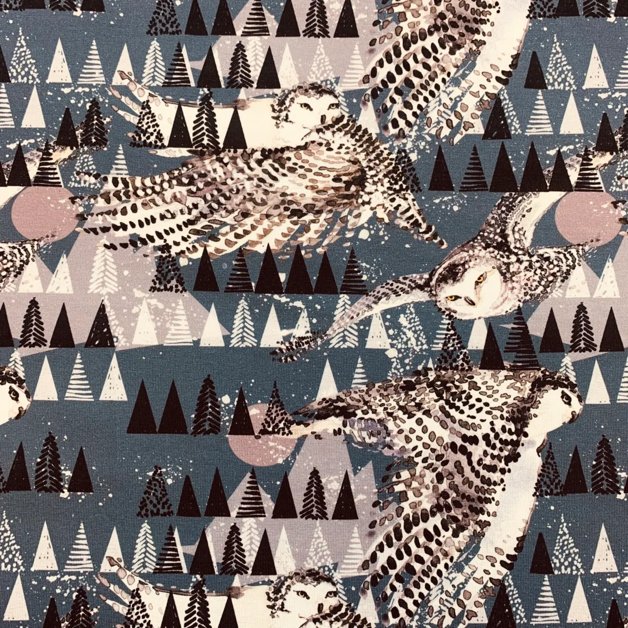 Fjälluggla - Zelected By ZannaZ