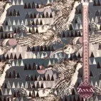 Fjälluggla - Zelected By ZannaZ