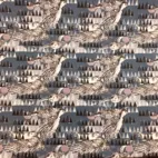 Fjälluggla - Zelected By ZannaZ