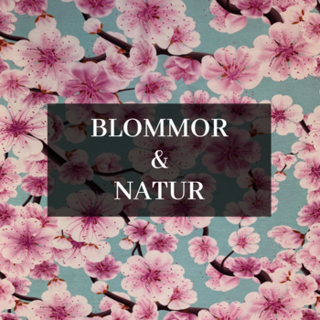 Blommor & Natur