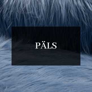 Päls