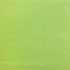 Lime - Stretch Denim