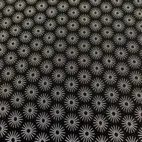 Pyret - Daisy / BLACK