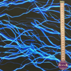 Electric Blue - Bad & Sportlycra