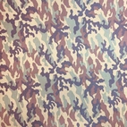 Camo - Bad & Sportlycra