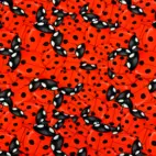 Maria Nyckelpiga - Zelected By ZannaZ