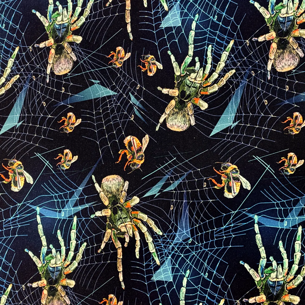 Spider - Zelected By ZannaZ