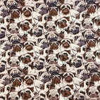 A lot of Pugs - Zelected By ZannaZ