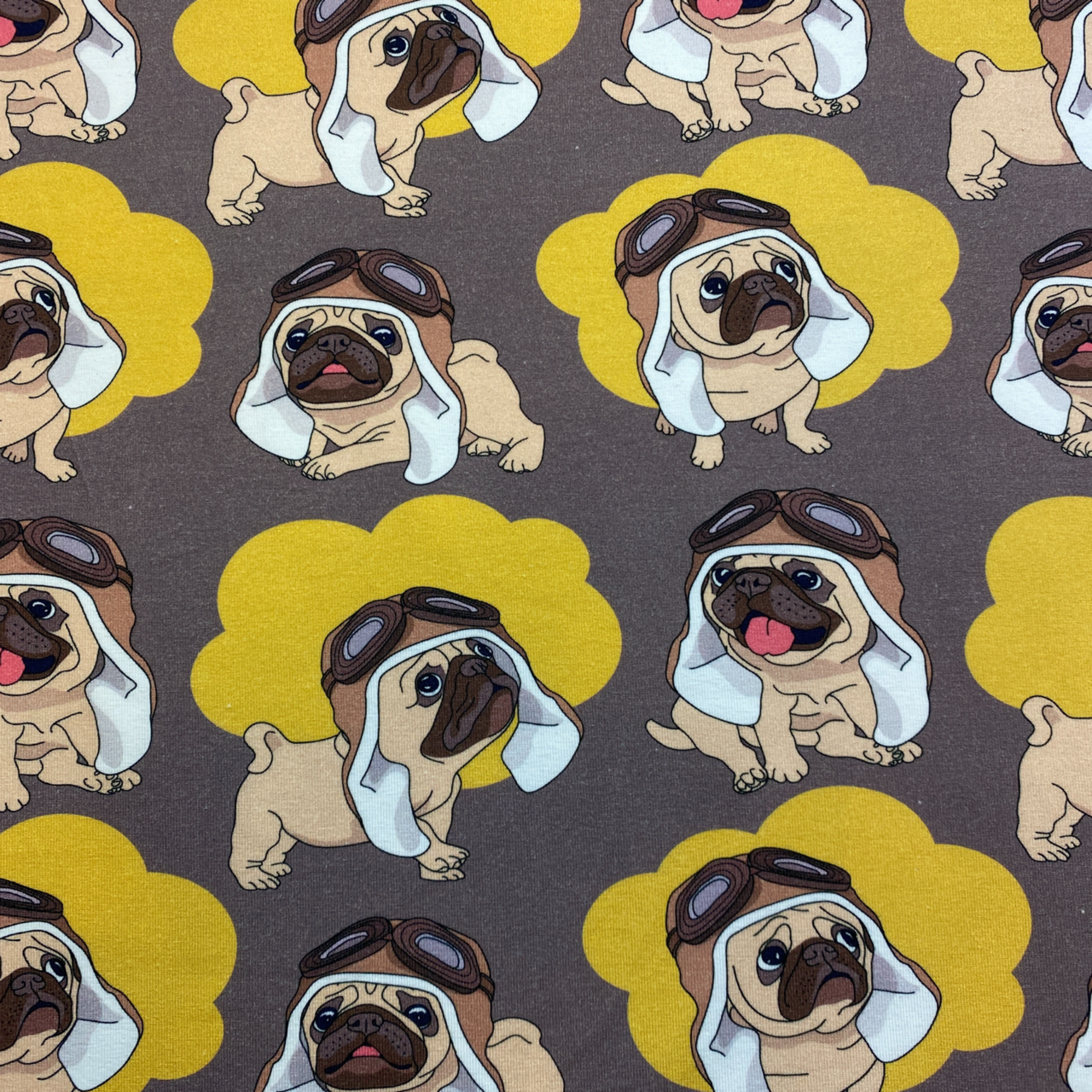 So Cool Pugs - Zelected By ZannaZ