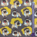 So Cool Pugs - Zelected By ZannaZ