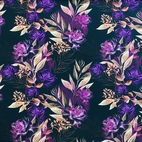 Purple Roses - Zelected By ZannaZ