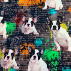 Graffit dog