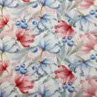 Albina - Zelected By ZannaZ