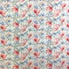 Albina - Zelected By ZannaZ