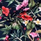 Zelda - Zelected By ZannaZ