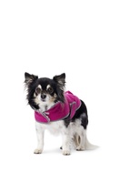 BURDA 6049 - BURDA 6049 HUNDTÄCKE