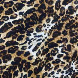 Leopard - Bad & Sportlycra