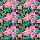 Dahlia - Zelected By ZannaZ