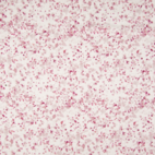 Digitaltryckt Muslin tyg - Stain, rosa