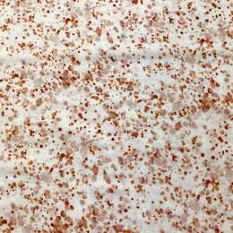 Digitaltryckt Muslin tyg - Stain, camel